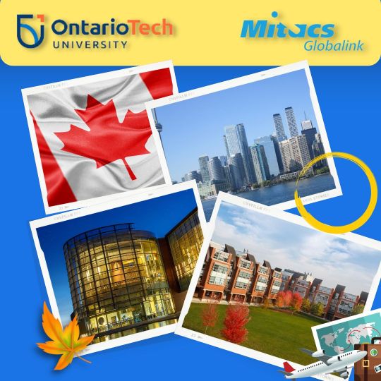 Personal Portfolio Images